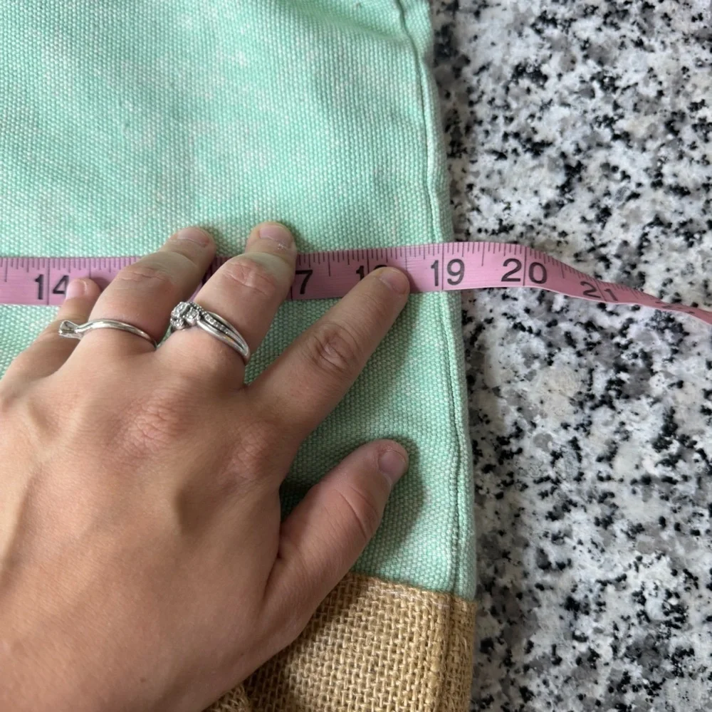 Robin Ruth | Mint and Tan Tote Bag